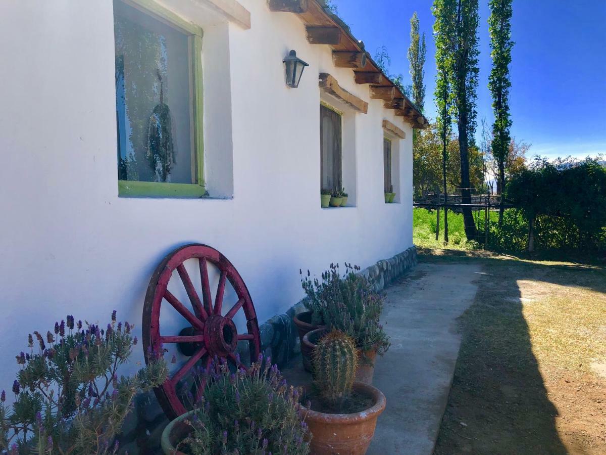 Casa San José Villa Cachí Esterno foto